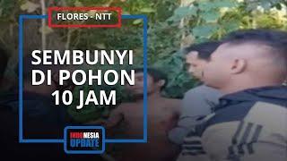 Ayah Bunuh 2 Anak Balita di Flores, Detik-detik Pembunuhan Sadis Disaksikan Ibu Pelaku