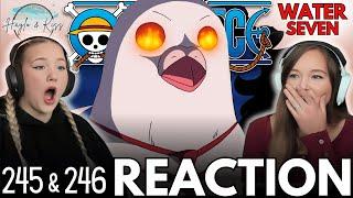 Up In FLAMES?! | ONE PIECE | Reaction 245 & 246