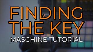 HOW TO: Find The Key To Any Sample or Loop // Tools & Training // Maschine Tutorial