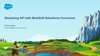 Easy Streaming with MuleSoft's Salesforce Connector