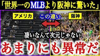 MLB「世界一はMLBではなく阪神だった…」全米が驚愕した阪神タイガースの異常さとは？【海外の反応】