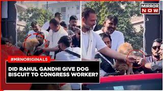 Did Rahul Gandhi Offer Dog Biscuits To Worker?  Video Viral | BJP Hits Out At Gandhi | English News