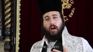 נחמן תורג'מן -משה ואהרון Israel Nachman Torgeman