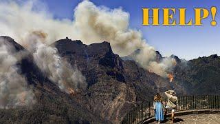 OUR ISLAND IS BURNING: The Devastating Madeira Wildfire!