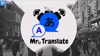 Mr  Translate movie