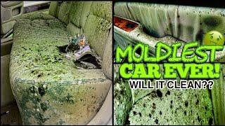 Deep Cleaning the MOLDIEST BIOHAZARD Car You've Ever Seen - You Won't Believe the Before and After!