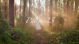 Psalm 23 (Lyric Video) | Lize Hadassah Wiid | Return to Me