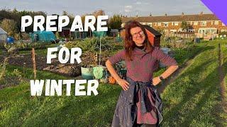 Top Tips To Prepare Your Garden Allotment For Winter