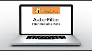Get multiple filter criteria with Excel Auto-Filter