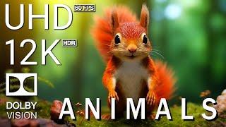 AUTUMN: ANIMALS CUTE - 12K Scenic Relaxation Film With Relaxing Music - 12K (60fps) Video Ultra HD
