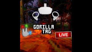 Playing Gorilla Tag VR Minigames Code sonicdash