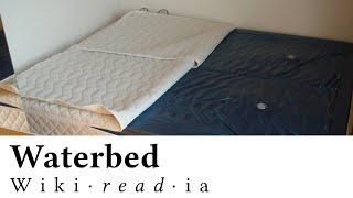 Waterbed - Wikireadia