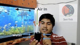 Aquarium Sponge Filter | How it works | Advantages | Disadvantages | When to use sponge filter