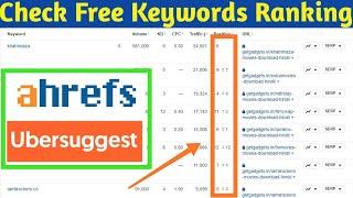 How To Check Keywords Ranking With Free SEO Tool