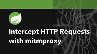 How To Intercept HTTP(S) Requests With Spring Boot And mitmproxy