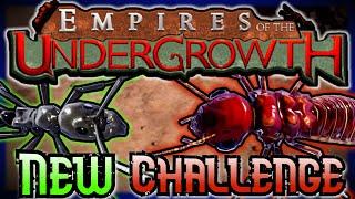 Insane New Termite Challenge! | Empires of the Undergrowth