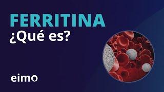 Ferritina ¿Qué es?