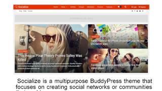 Best Buddypress Wordpress Themes