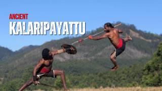 Kalaripayattu in 2 Minutes | Just The Basics