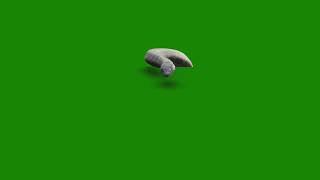 anaconda green screen video copyright free 2022 video#19