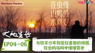 【大地生长】EP4-6合集 与牧羊少年和金秋麦田的相遇，在虫鸣鸟叫中慢慢变老  | 刘亮程新疆漫游记 | 优酷纪实人文 YOUKU DOCUMENTARY