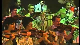 Rafiq Babayev orchestra -Parafrase