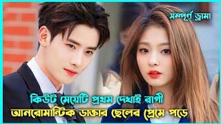 রোমান্টিক লাভ স্টোরি  Intense Love Movie Explain in Bangla || Korean Drama Bangla 🟤 Movie Story SJ