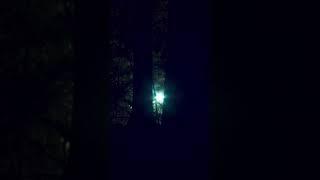 Mysterious lights in the Alaskan woods visual effect from "Max and the Mystery Woods Lights! ”