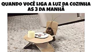 MELHORES MEMES EM IMAGENS - Quando ligo a luz da cozinha 