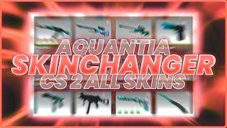 CS2 Best Skinchanger  Skin Changer ALL SKINS // Link In Desc