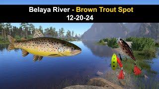 Russian Fishing 4,  Belaya River - Brown Trout Spot 12-20-24