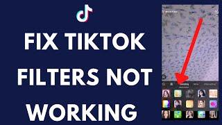 How to Fix TikTok Effects Not Working | TikTok Filters Not Showing (2024)