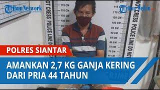 Petugas Polres Siantar Amankan 2,7 Kg Ganja Kering dari Pria 44 Tahun