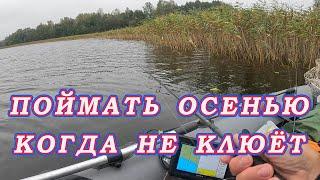 Рабочий Способ получить много ПОКЛЁВОК ОСЕНЬЮ! Уменьшать приманку и замедлить проводку !