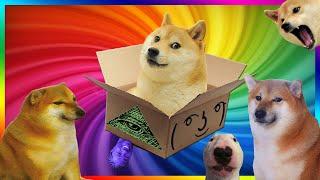 Doge Unboxing (Boxception: Box inside a box) [Darude Sandstorm in forest Dogelore meme]