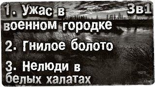 Истории на ночь (3в1): 1.Уж@с в военном городке, 2.Гнилое болото, 3.Нелюди в белых халатах