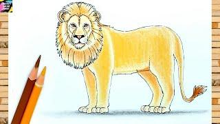 How to draw a lion easy | Lion drawing step by step