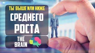 Ты выше или ниже среднего роста? [TheBrain]