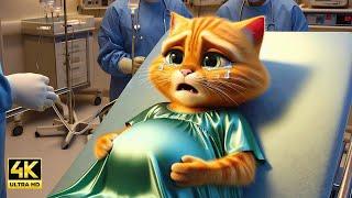 Pregnant Cat Sad Story  #cat #cute #ai #catlover #catvideos