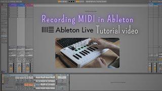 How to record a whole loop based project | Ableton Tutorial | Arturia MiniLab