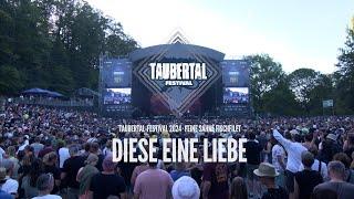 Taubertal-Festival LIVE IN CONCERT | Feine Sahne Fischfilet 2024 · Diese Eine Liebe