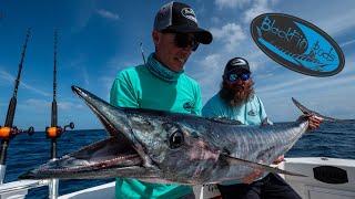 Kite fishing for WAHOO, TUNA and SAILFISH with Capt Pat Price of Daymaker Charters  | Blackfin Rods