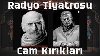  Müşfik Kenter, Tuncel Kurtiz; Tennessee Williams'ın Cam Kırıkları Eseri Radyo Tiyatrosu #rpolisiye