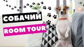 СОБАЧИЙ РУМ ТУР | МОЯ СОБАКА ДЕЛАЕТ ROOM TOUR | Darina Sweet