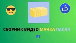 СБОРНИК ВИДЕО МАЧКА ПАСЛА | МАЧКА ПАСЛА ВИДЕО #1