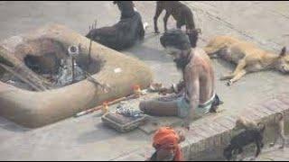 Silent Baba Harichandra Ghat Varanasi India #naaprayanam #telugu