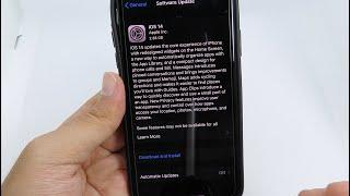 How to Quickly Update to iOS 14 / Fix Unable to Update Any iPhone