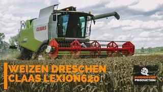 Weizen Dreschen 2023 - Claas Lexion 620 | Summervibe Production