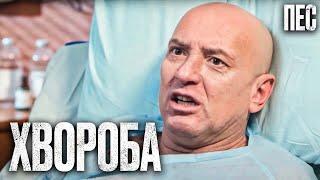  НАПАД НА ГНІЗДІЛОВА?! - Цікавий ДЕТЕКТИВ 2023 - Серіал ПЕС 2023 - Найкращі серії