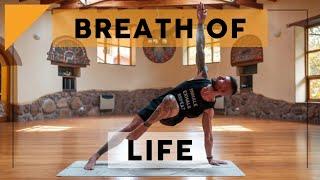 Breath of Life Yoga Practice for All Levels